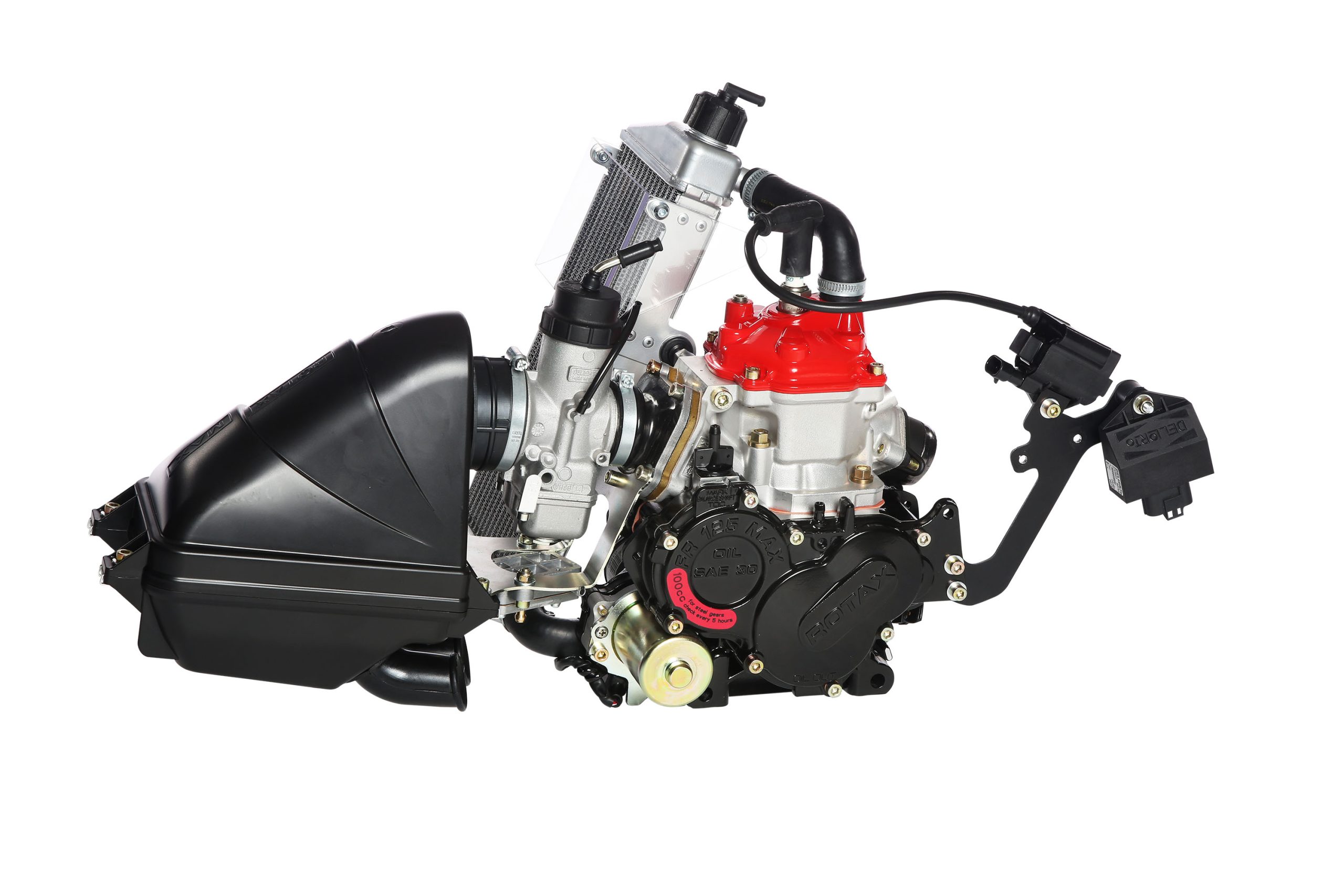 ROTAX 125 JUNIOR MAX EVO